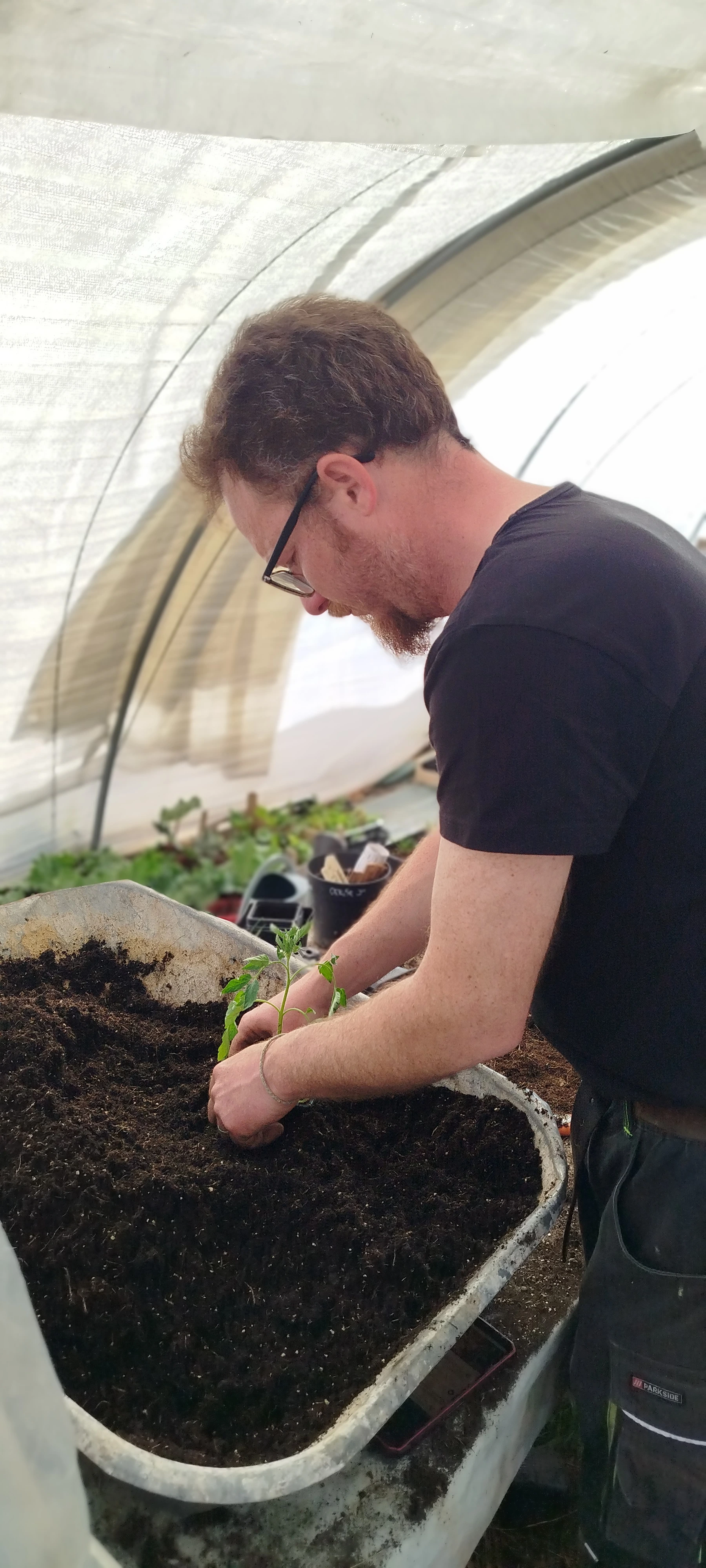 David au travail parmi les plants de sa pépinière