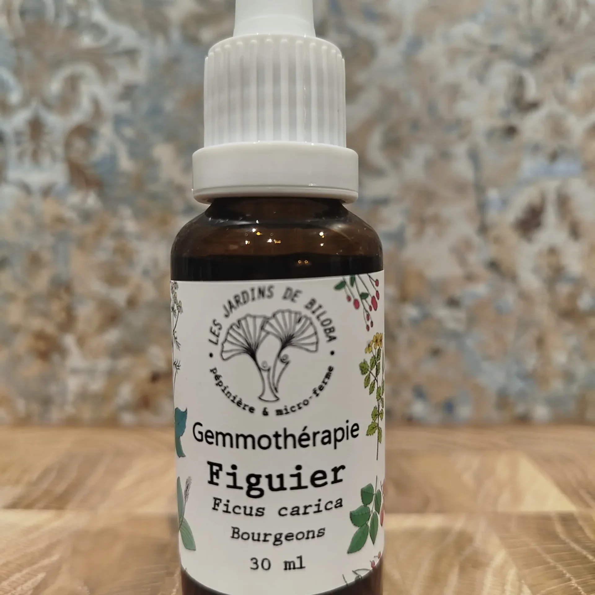 Gemmo Figuier
