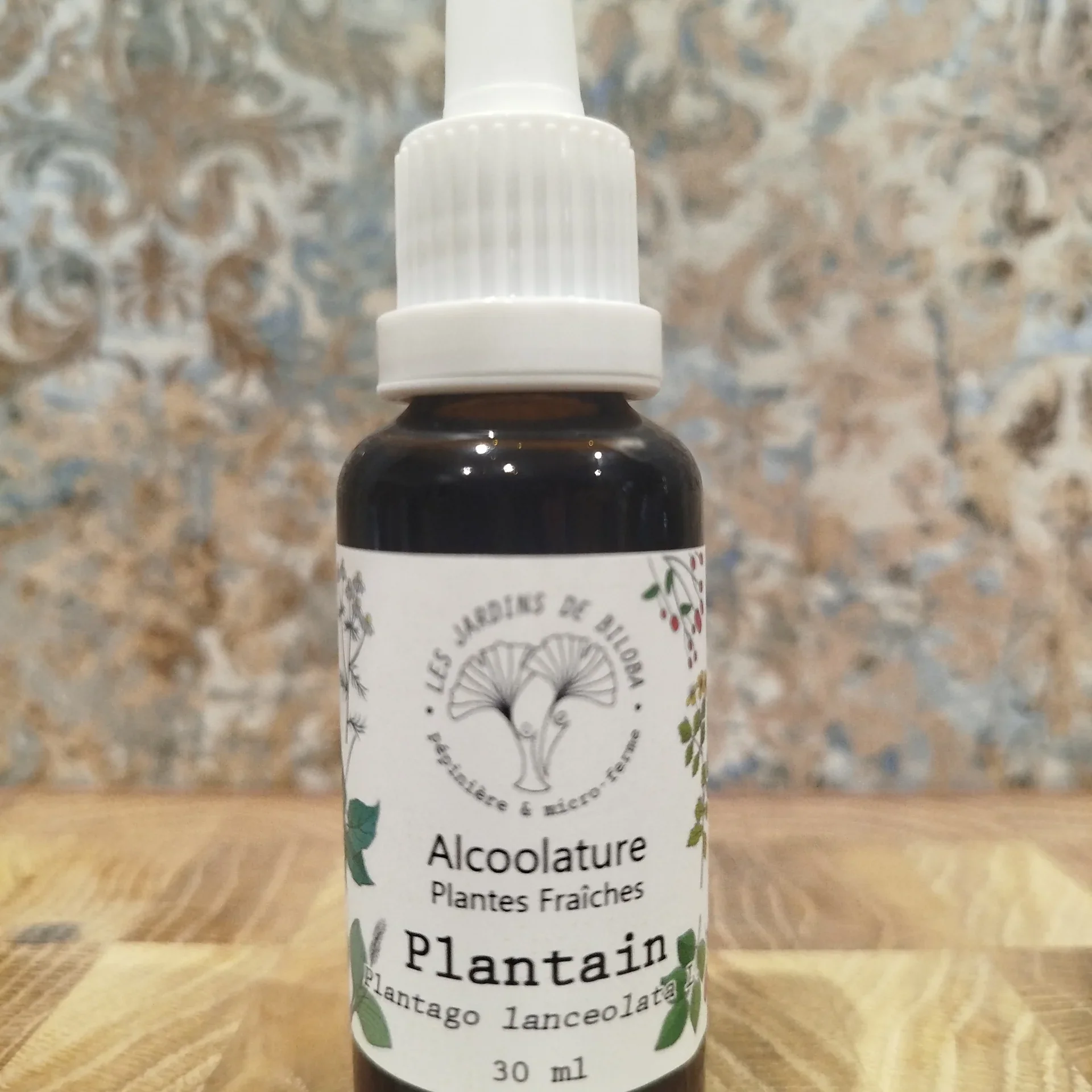 Alcoolature Plantain